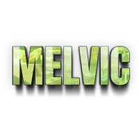 Melvic Group logo - Similar company to Headway Vision