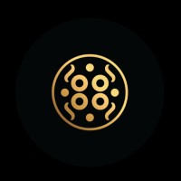 Studio Geometrique logo - Similar company to Row 01
