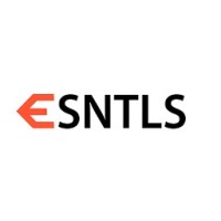 ESNTLS logo - Similar company to Iim Ranchi Pgexp