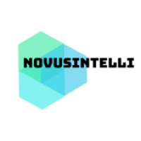 Novusintelli Inc logo - Similar company to Vishuniversal
