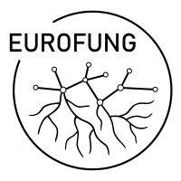 EUROFUNG logo - Similar company to Shenzhen Sipimo Technology Group