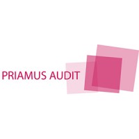 Priamus Audit logo - Similar company to C&N Auditors