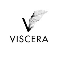 VISCERA logo - Similar company to Viscera Studio