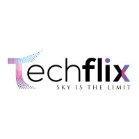 Techflix logo - Similar company to Techflix Solution