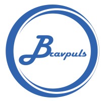 BRAVPULS TECHNOLOGIES logo - Similar company to Startup Grind Lagos