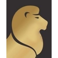 LEO Corp Fin and IB logo - Similar company to Sia  Acbr