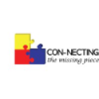Con-necting LLC logo - Similar company to Silver Project Group