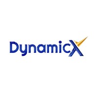 Dynamic X Solutions logo - Similar company to Bitslize Concepts