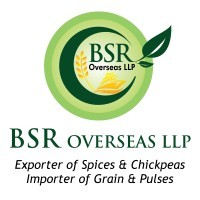 BSR Overseas LLP logo - Similar company to Bsr Overseas Llp
