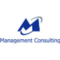 Management Consulting Srl