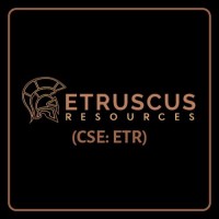Etruscus Resources Corp logo - Similar company to First Focus