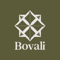 Bovali logo - Similar company to Artstone Panel