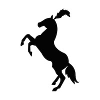 The Show Pony logo - Similar company to Brandplay