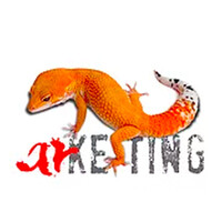Arketing Mexico