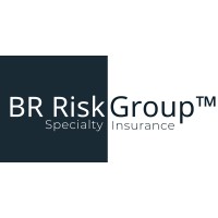 BR Risk Group™ Specialty Insurance logo - Similar company to Diversified Risk Solutions Llc