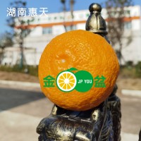 湖南惠天贸易有限公司