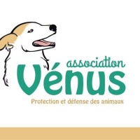 Association Vénus logo - Similar company to Le 4 De Bordeaux