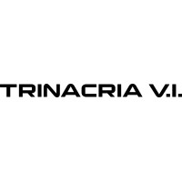 Trinacria Veicoli Industriali S.p.A. logo - Similar company to Divitech