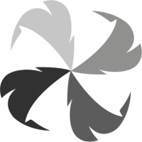 Crow Studios logo - Similar company to Pilgrims Game Studio