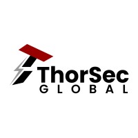 ThorSec Global logo - Similar company to Meridian Studies