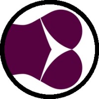 Bikini Limousine Service logo - Similar company to Bikini Junkie