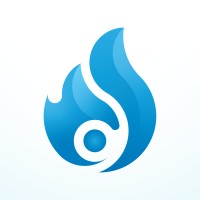 Dilaab Digitals logo - Similar company to Nextgen Vas