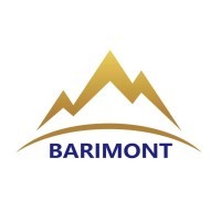 Barimont Mineria S de RL de CV logo - Similar company to Grupo M Telecom