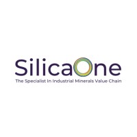 Silica One Materials Pvt Ltd logo - Similar company to Advalue Technology, Llc