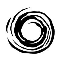 Solo Twin Studios logo - Similar company to Actionpotential.Ai