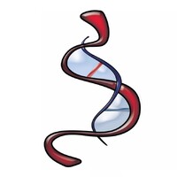 Medspecs