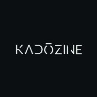 KADOZINE DESIGN STUDIO logo - Similar company to Levels Interior Design