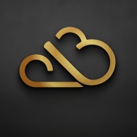 Blackensys logo - Similar company to Maang Ready
