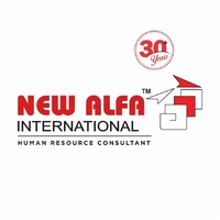 New Alfa International logo - Similar company to Marcons Digital