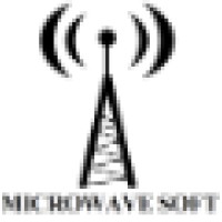 MicrowaveSoft Inc. logo - Similar company to Topnation Immigration Services