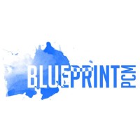 BLUEPRINT P.C.M. LIMITED logo - Similar company to Needle And Camel Investments
