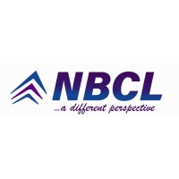 Netop Business Consulting Limited logo - Similar company to Devwares