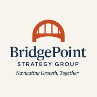 BridgePoint Strategy Group logo - Similar company to Vrlu