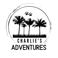 Gladstone Backpackers