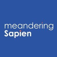 meanderingSapien logo - Similar company to Ivisiongate