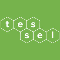 Tessel Bio logo - Similar company to Codify Therapeutics