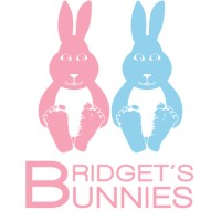 Bridget's Bunnies logo - Similar company to Ascent Clinical Services