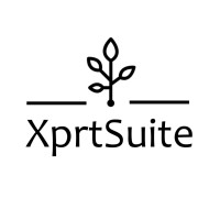XprtSuite logo - Similar company to Wiroos