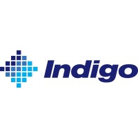 Indigo Natural Resources logo - Similar company to Natural Indigo Ltd