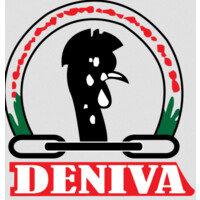 Development Network of Indigenous Voluntary Associations (DENIVA) logo - Similar company to Energy Sustainability Program (Esp)