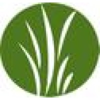 Sun Turf Care Inc