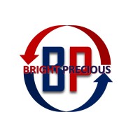 Bright Precious General Trading LLC logo - Similar company to Next Level Living Gmbh