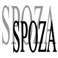 Stowarzyszenie SPOZA logo - Similar company to As Hub