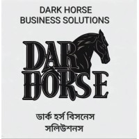 Dark Horse Business Solutions ® logo - Similar company to Techure Solutions