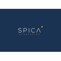 Spika Strategies logo - Similar company to .Raw Community