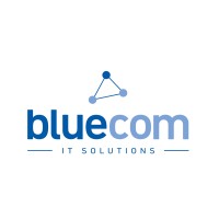Bluecom IT Solutions logo - Similar company to Bliss It